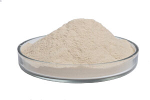 Natriumalginat (pharmazeutische Substanz) - 1 kg