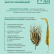 "DOCTOR RECOMMENDS" Seaweed, shredded kelp, Fucoidan + Laminaran, 230 g